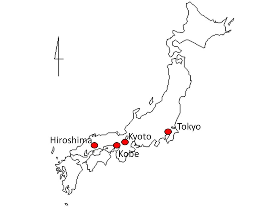 Ciudades en las que se visitaron y documentaron espacios p�blicos preparados ante desastres