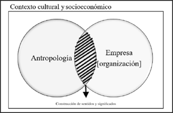 La antropología organizacional y su contexto