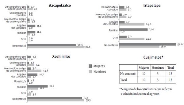 Persona que realiz&oacute; la violaci&oacute;n declarada. 