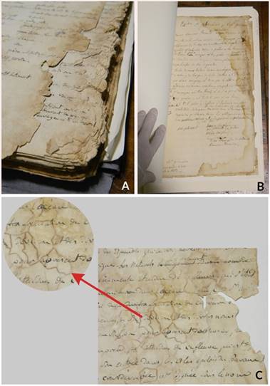 A y B: Detalle del estado de conservación, friabilidad y manchas del Diario de Bonpland. C: Detalle en aumento de contaminación biológica de uno de los manuscritos.