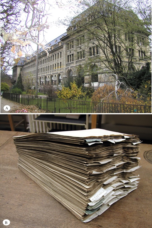 Herbarium of Aimé Bonpland. A: General view of the National Museum of Natural History of Paris. B: One pile of specimens gathered by Aimé Bonpland during his 5 years expedition with Alexander von Humboldt and kept separately in the historical collection P-Bonpl.