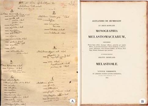 Documents associated to the research of Aimé Bonpland on Neotropical Melastomataceae. A: Working list of Melastomataceae names. B: First page of the Flora Melastomatacearum (1806-1823), one of the key botanical works undertaken by Aimé Bonpland. Courtesy of the Mediatheque of the City of La Rochelle and the library of the Conservatory and Botanic Gardens of Geneva.