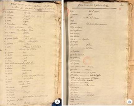 Selected documents related to Aimé Bonpland. A: List of seeds shipped by Alexander von Humboldt and Aimé Bonpland to the Natural History Museum of Paris in 1813. B: List of seeds shipped to the Berlin Botanical Garden. Courtesy of the Mediatheque of the City of La Rochelle.