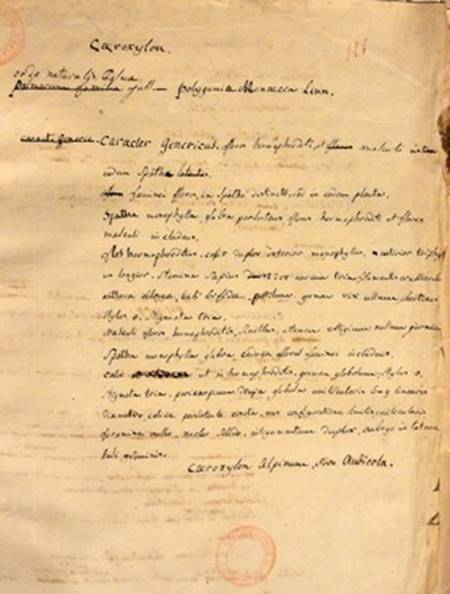 Hand written notes prepared by Aimé Bonpland for the description of the Andean palm genus Ceroxylon. Courtesy of the Mediatheque of the City of La Rochelle.