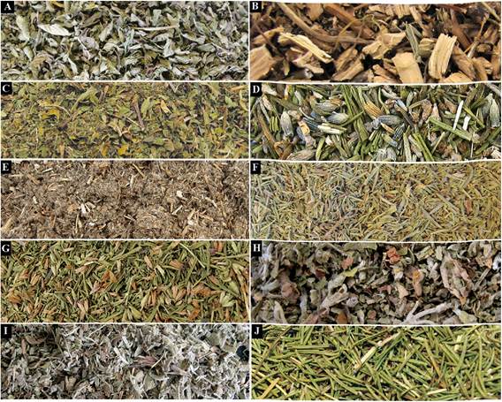 Muestras de productos de herborister&iacute;a de algunas de las especies tratadas. A: Minthostachys verticillata (peperina). B: Clinopodium gi&uuml;iesii (mufla mufla). C: Mentha spicata (menta). D: Lavandula angustifolia (lavanda). E: Marrubium vulgare (marrubio). F: Satureja hortensis (ajedrea). G: Hyssopus officinalis (hisopo). H: Melissa officinalis (melisa, toronjil). I: Salvia officinalis (salvia). J: Rosmarinus officinalis (romero).