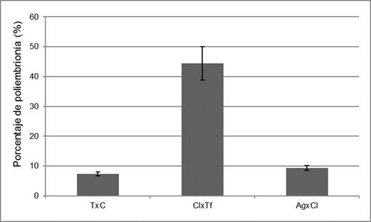Poliembrion&iacute;a en semillas de tres h&iacute;bridos de portainjertos de c&iacute;tricos: T&times;C: &lsquo;Citrange Troyer&rsquo; &times; mandarino com&uacute;n, Cl&times;Tf: mandarino &lsquo;Cleopatra&rsquo; &times; trifolio y Ag&times;Cl: naranjo agrio &times; mandarino &lsquo;Cleopatra&rsquo;. Fig. 3.Seeds polyembryony of three citrus rootstocks hybrids: T&times;C: &lsquo;Citrange Troyer&rsquo; &times; mandarin common, Cl&times;Tf: mandarin &lsquo;Cleopatra&rsquo; &times; trifolio and Ag&times;Cl: sour orange &times; mandarin &lsquo;Cleopatra&rsquo;.