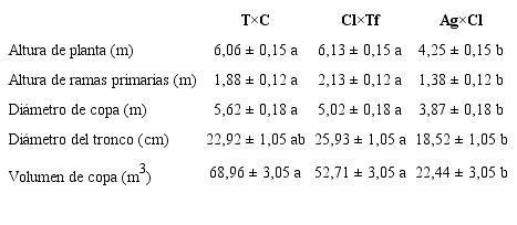Caracter&iacute;sticas de las plantas madre de tres h&iacute;bridos de portainjertos c&iacute;tricos. Cl&times;Tf: mandarino &lsquo;Cleopatra&rsquo; &times; trifolio, T&times;C: &lsquo;Citrange Troyer&rsquo; &times; mandarino com&uacute;n y Ag&times;Cl: naranjo agrio &times; mandarino &lsquo;Cleopatra&rsquo;. Letras diferentes en las filas indican diferencias estad&iacute;sticamente significativas (Tukey (p&le; 0,05). Table 1.Characteristics of the mother plants of three citrus rootstocks hybrids. Cl&times;Tf: mandarin &lsquo;Cleopatra&rsquo; &times; trifolio, T&times;C: &lsquo;Citrange Troyer&rsquo; &times; mandarin common and Ag&times;Cl: sour orange &times; mandarin &lsquo;Cleopatra&rsquo;. Different letters in the rows indicate statistically significant differences (Tukey (p&le; 0.05).