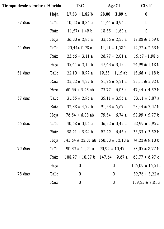 Biomasa y partici&oacute;n de asimilados (en mg), de tres h&iacute;bridos de portainjertos de c&iacute;tricos durante la etapa de alm&aacute;cigo en vivero. Cl&times;Tf: mandarino &lsquo;Cleopatra&rsquo; &times; trifolio, T&times;C: &lsquo;Citrange Troyer&rsquo; &times; mandarino com&uacute;n y Ag&times;Cl: naranjo agrio &times; mandarino &lsquo;Cleopatra&rsquo;. Letras diferentes en las filas indican diferencias estad&iacute;sticamente significativas (Tukey p&le; 0,05). Table 3.Biomass and assimilates partition (in mg), of three citrus rootstocks hybrids during the nursery seedling stage. Cl&times;Tf: mandarin &lsquo;Cleopatra&rsquo; &times; trifolio, T&times;C: &lsquo;Citrange Troyer&rsquo; &times; mandarin common and Ag&times;Cl: sour orange &times; mandarin &lsquo;Cleopatra&rsquo;. Different letters in the rows indicate statistically significant differences (Tukey p&le; 0.05).