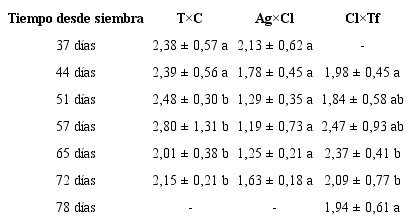 Relaci&oacute;n peso seco de materia seca parte a&eacute;rea/ ra&iacute;ces (PMSA/PMSR) promedio en gramos, de tres h&iacute;bridos de portainjertos de c&iacute;tricos durante la etapa de alm&aacute;cigo en vivero. Cl&times;Tf: mandarino &lsquo;Cleopatra&rsquo; &times; trifolio02., T&times;C: &lsquo;Citrange Troyer&rsquo; &times; mandarino com&uacute;n y Ag&times;Cl: naranjo agrio &times; mandarino &lsquo;Cleopatra&rsquo;. Letras diferentes en las filas indican diferencias estad&iacute;sticamente significativas (Tukey p&le; 0,05). Table 4.Ratio of dry matter weight aerial part/roots (PSA / PSR) average in grams, of three citrus rootstocks hybrids during the nursery seedling stage. Cl&times;Tf: mandarino &lsquo;Cleopatra&rsquo; &times; trifolio02., T&times;C: &lsquo;Citrange Troyer&rsquo; &times; mandarin common and Ag&times;Cl: sour orange &times; mandarin &lsquo;Cleopatra&rsquo;. Different letters in the rows indicate statistically significant differences (Tukey p&le; 0.05).