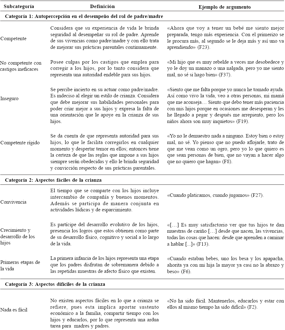 Categor&iacute;as
y subcategor&iacute;as encontradas en el estudio