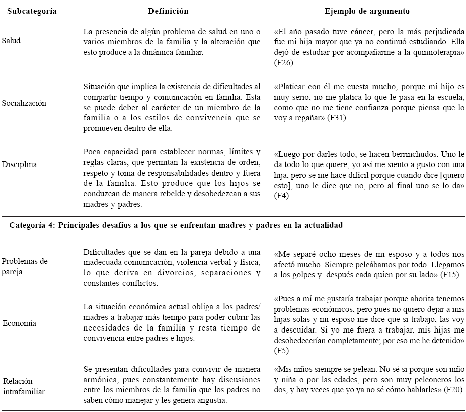 Categor&iacute;as
y subcategor&iacute;as encontradas en el estudio