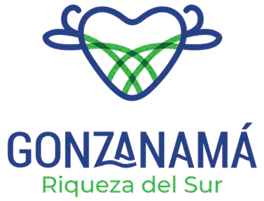 Propuesta gráfica. Fuente: elaboración propia.