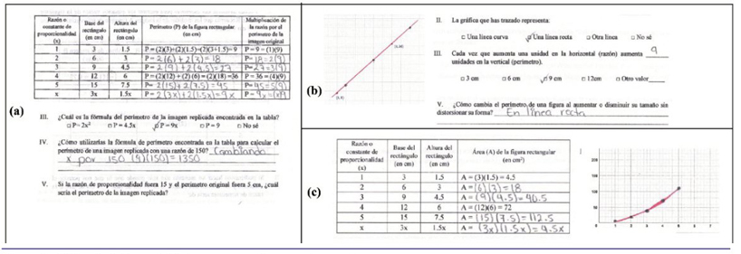 Evidencia de las actividades correspondientes a la tarea
								2.