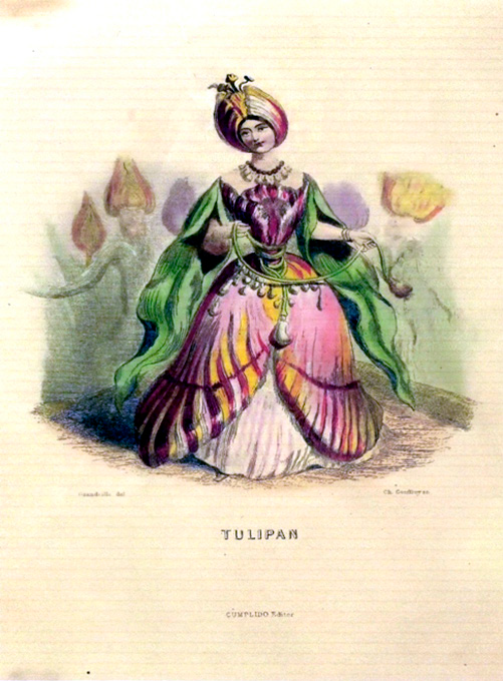 El Álbum Mexicano, t. I, 172 reverso.