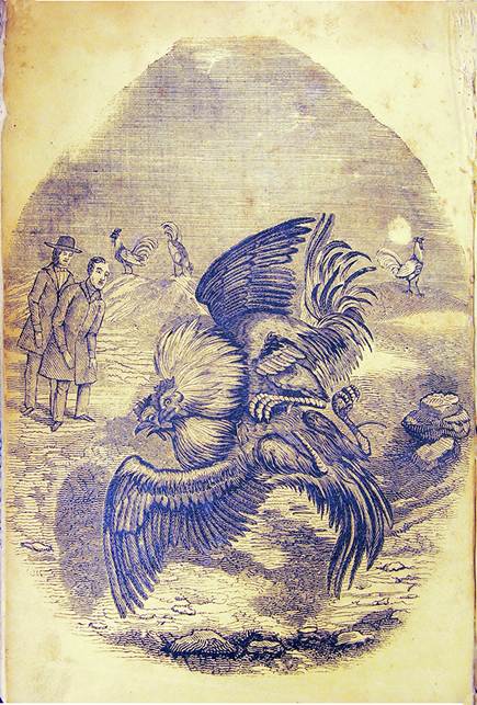 Rafael de Rafael (atrib.), sin título, en El Gallo Pitagórico (Imprenta de Ignacio Cumplido, 1845). Grabado en madera.
