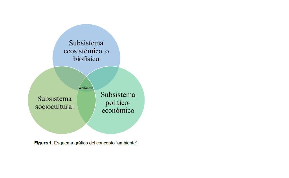 Esquema grfico del concepto “ambiente”