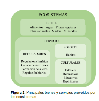 Principales bienes y servicios provedos por los ecosistemas.