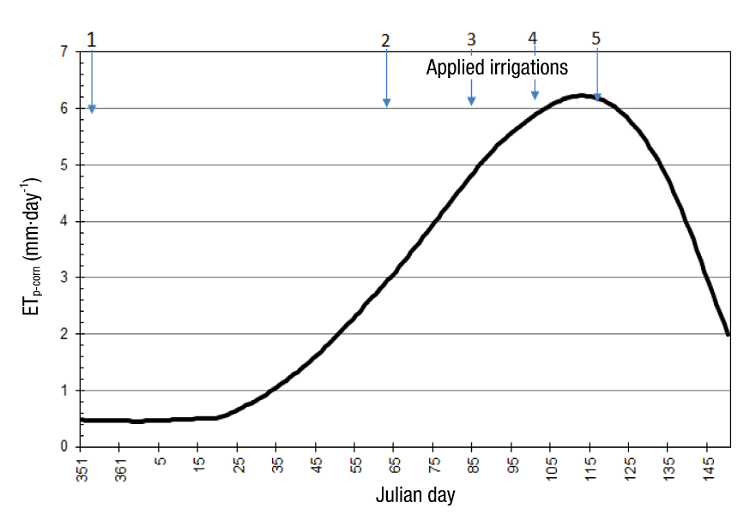 Daily potential evapotranspiration (ETp) of corn for the 10-day planting date 8 (December 16, 2004) with five irrigations.