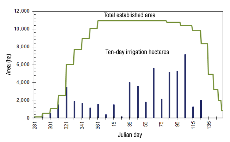 Total established area and ten-day irrigation hectares for corn in the autumn-winter season.
