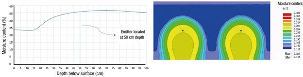 Moisture content on the day of the cut, after 12 h of irrigation, in clay loam soil with an emitter placement depth of 50 cm.