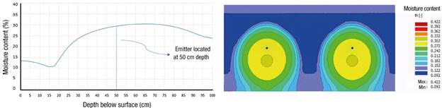 Moisture content on the day of the cut, after 12 h of irrigation, in loam soil with an emitter placement depth of 50 cm.