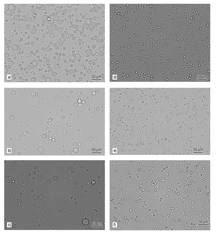 Optical micrographs of oil-in-water emulsions after 1 day of storage: a) EWPC-CP,2:1, b) EWPC-HP55,2:1, c) EWPC-HP100,2:1, d) EWPC-CP,3:1, e) EWPC-HP55,3:1 and f) EWPC-HP100,3:1. E = emulsion; WPC = whey protein concentrate; CP = citrus pectin; HP55 = hawthorn pectin from accession 55; HP100 = hawthorn pectin from accession 100; 3:1 = ratio of total biopolymers:oil (w/w); 2:1 = ratio of total biopolymers:oil (w/w).