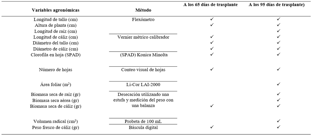 M�todos y periodos de evaluaci�n de las variables agron�mica de las plantas de Jamaica