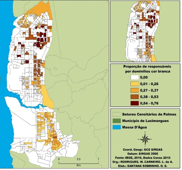 Respons�veis por domic�lios em Palmas/TO, cor branca