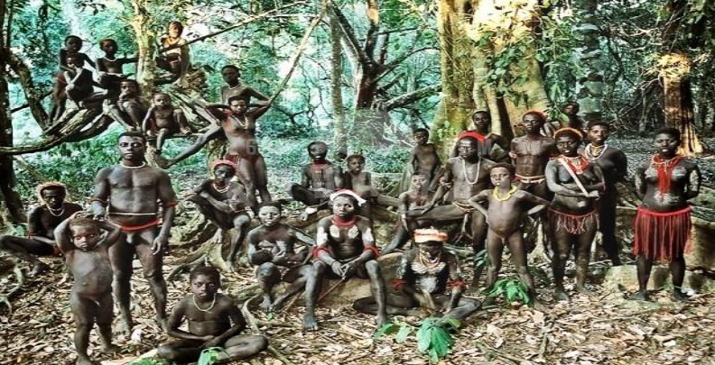 Sabuj Dwiper Raja: A Fight for the Rights of Jarawa Identity and Culture