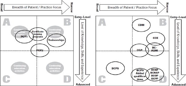 Council on Credentialing in Pharmacy (CCP) 2009 paper: Scope of contemporary pharmacy
                        practice: Roles, responsibilities, and functions of pharmacists and pharmacy
                        technicians [Reproduced with permission]. 