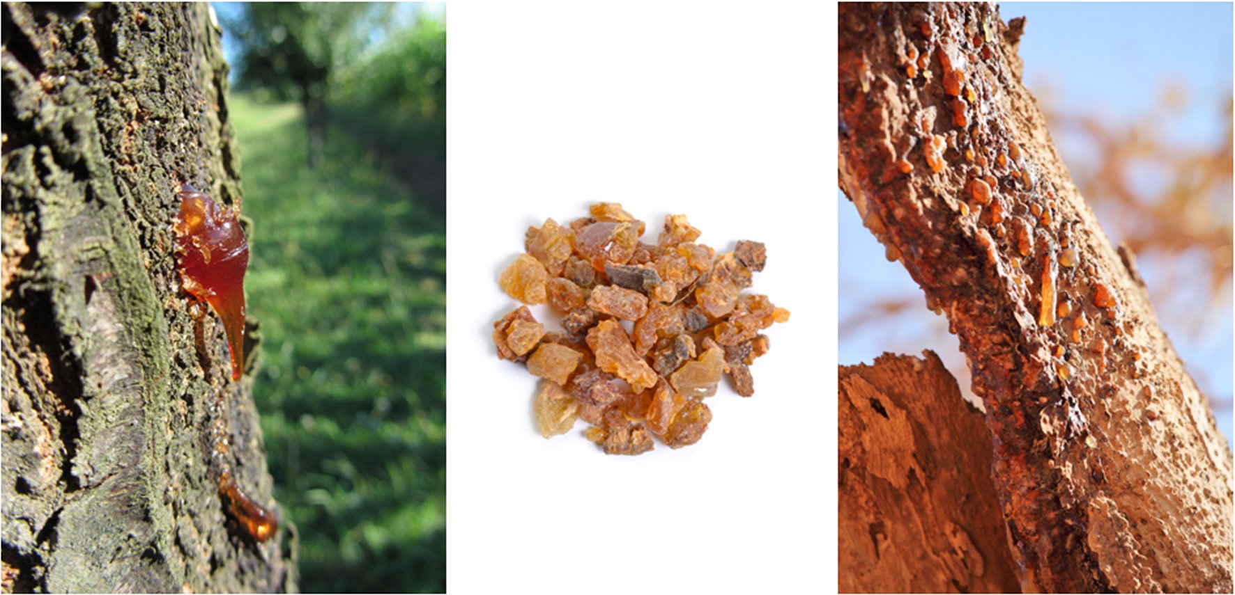 Myrrh resin