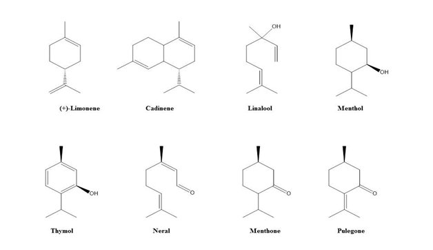Examples of essential oil constituent.