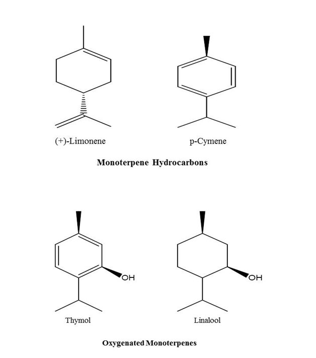Classes of essential oil (Monoterpene hydrocarbons and Oxygenated monoterpenes).