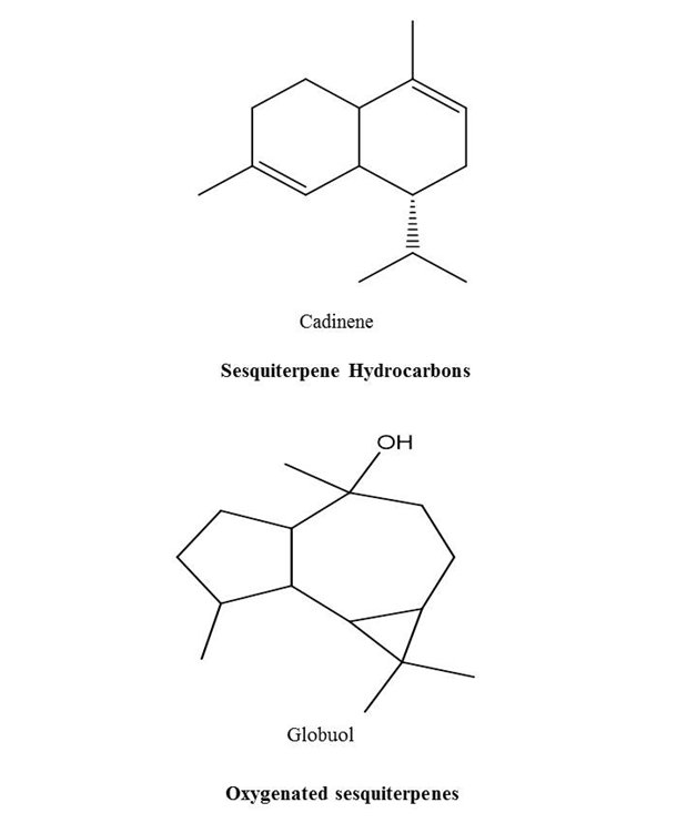 Classes of essential oils (Sesquiterpene hydrocarbons and Oxygenated Sesquiterpene)