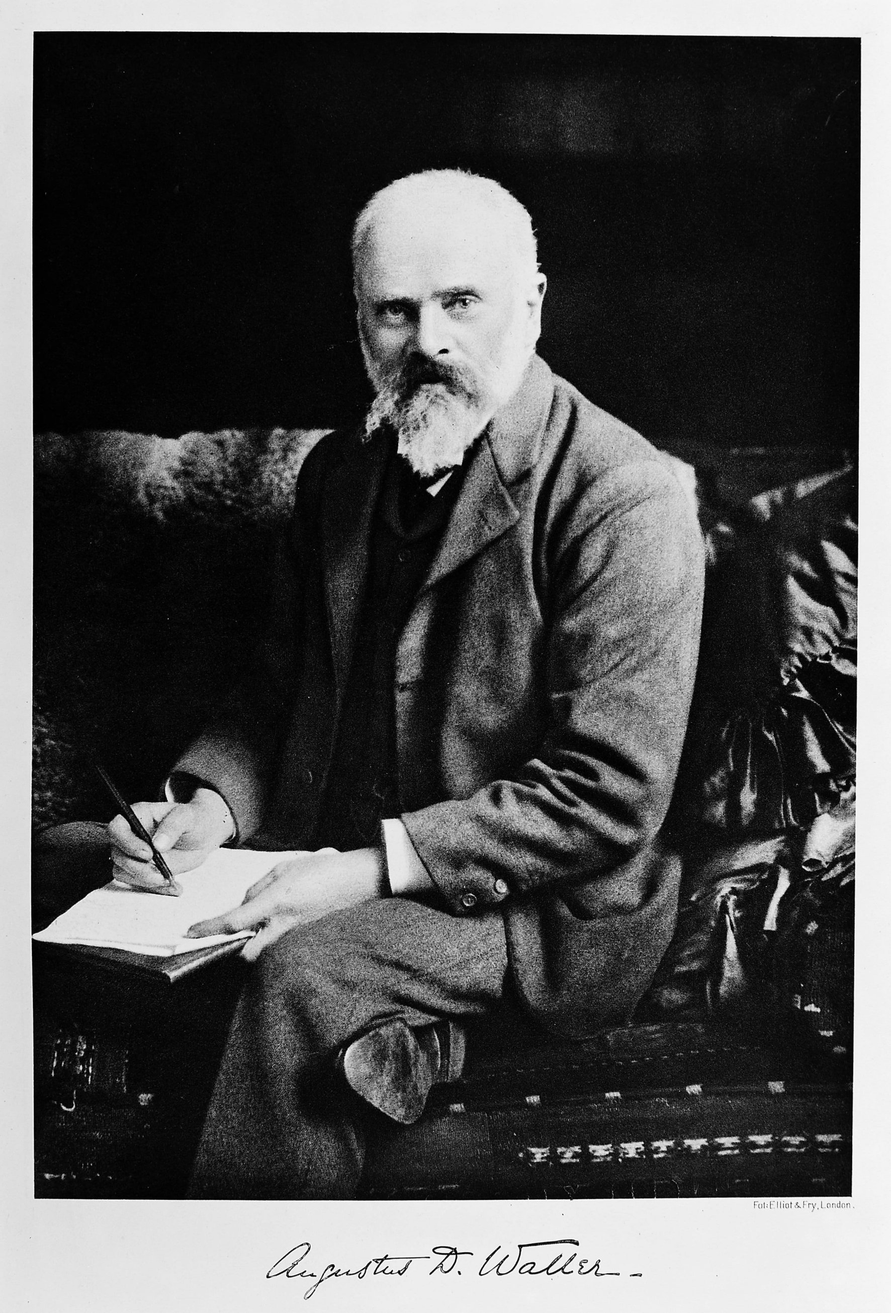 Augustus Desir Waller.