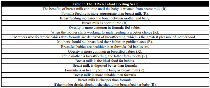  The IOWA Infant Feeding Scale