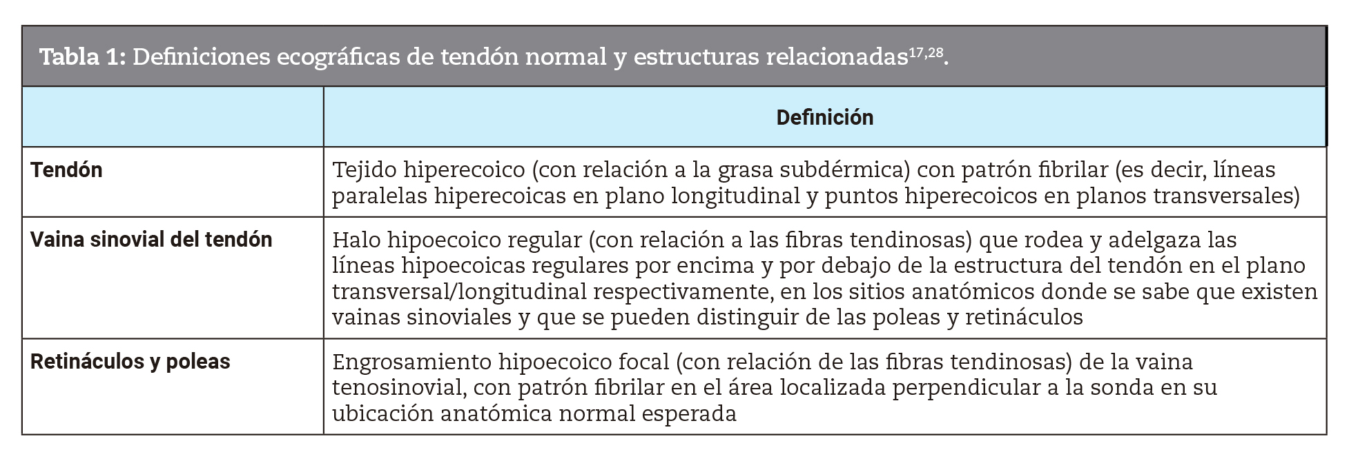 Definiciones ecogrficas de tendn normal y estructuras relacionadas17,28.