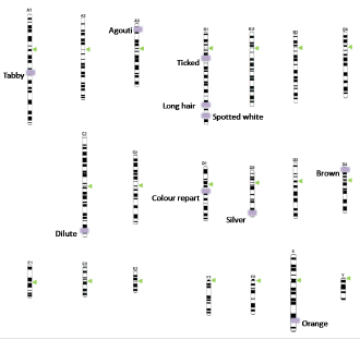 Map of southwestern Colombia depicting the locations of the study and their sample size.