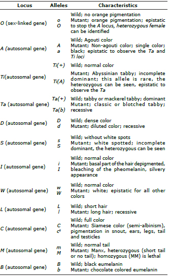 Description of the loci studied, modified from Ru&iacute;z-Garc&iacute;a (14).