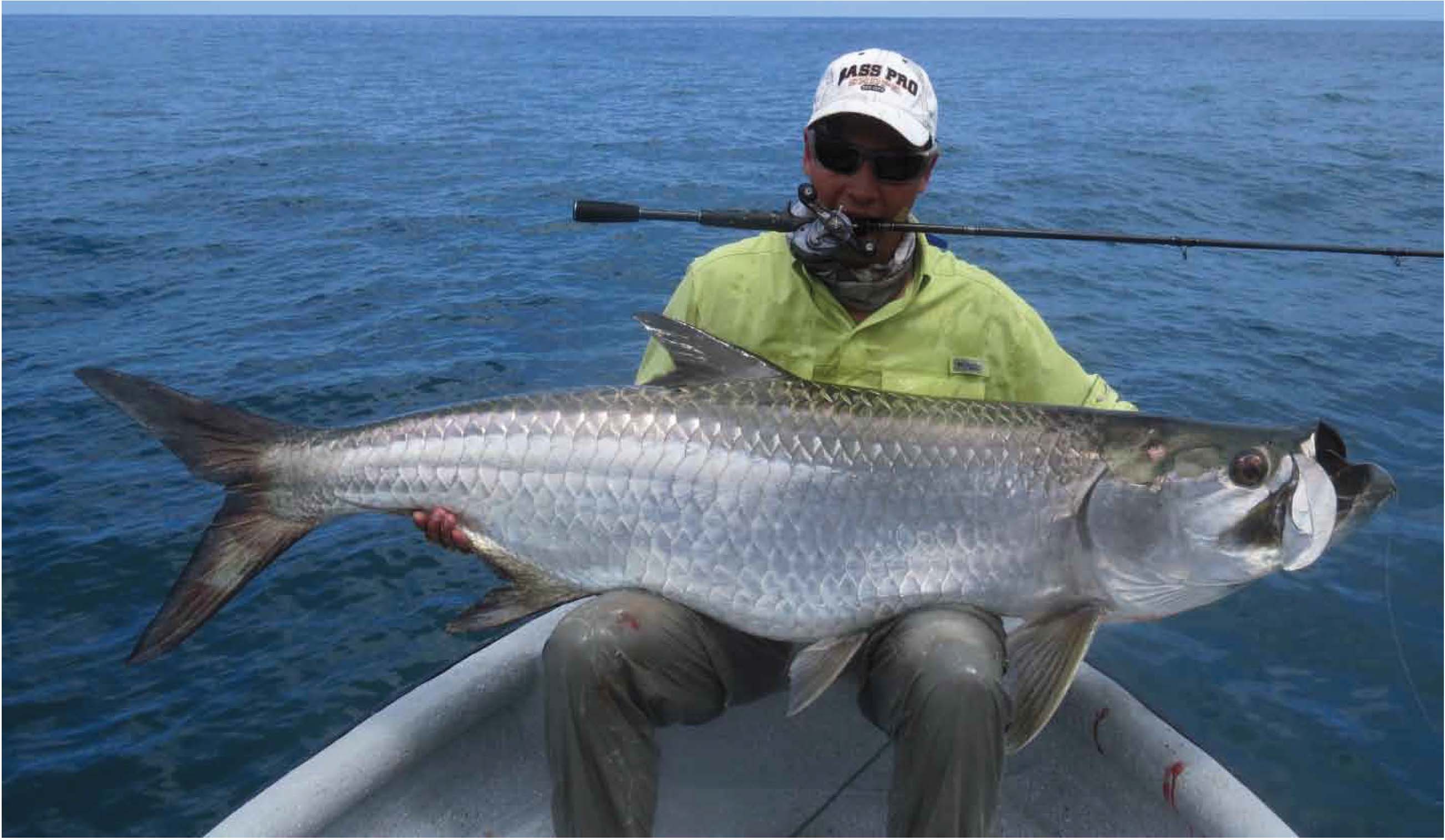 Megalops atlanticus (Megalopidae), a new fish at the Pacific Ocean;  information about its fishery importance