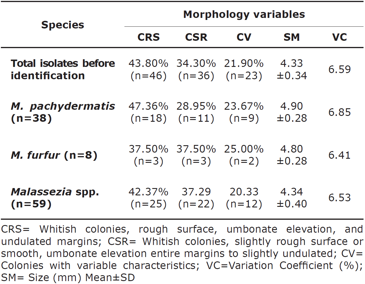 Canine Malassezia colonies macroscopic characterization.