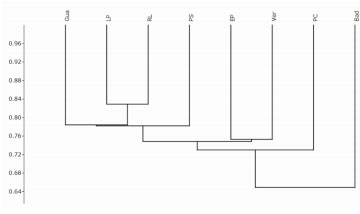 Station Jaccard Similarity Dendrogram   Gua=Guacochito; LP= Las Pitillas; RL=Rabo Largo; EP=El Paso; Ver=Veracruz; PC=Puente Canoa y Bad=Badillo.