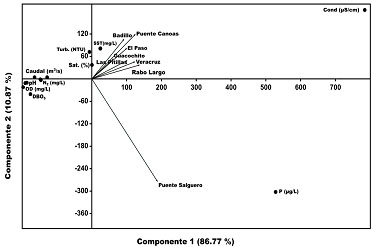 Principal component analysis of the physical and chemical variables at the sampling stations.