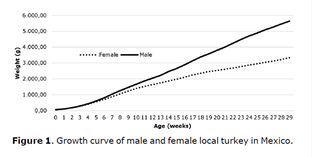Figure 1. Growth curve of male and female local
turkey in Mexico.
