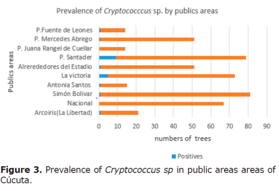 Figure 3. Prevalence of Cryptococcus sp in public areas areas of
C&uacute;cuta.