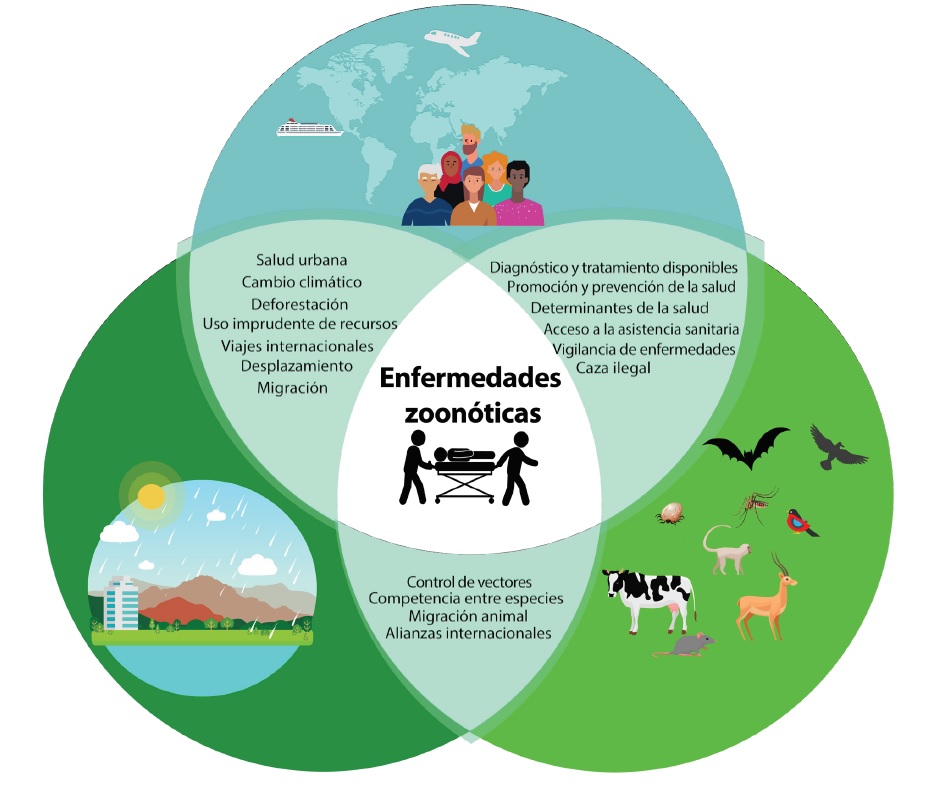 Figura 1. Enfoque
&ldquo;Una salud&rdquo; para abordar las enfermedades zoon&oacute;ticas.