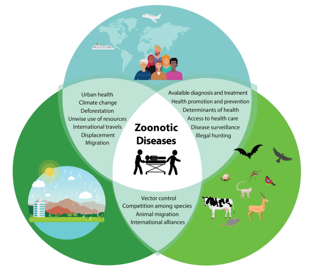 Figure 1.  &ldquo;One Health&rdquo; approach to address
zoonotic diseases.