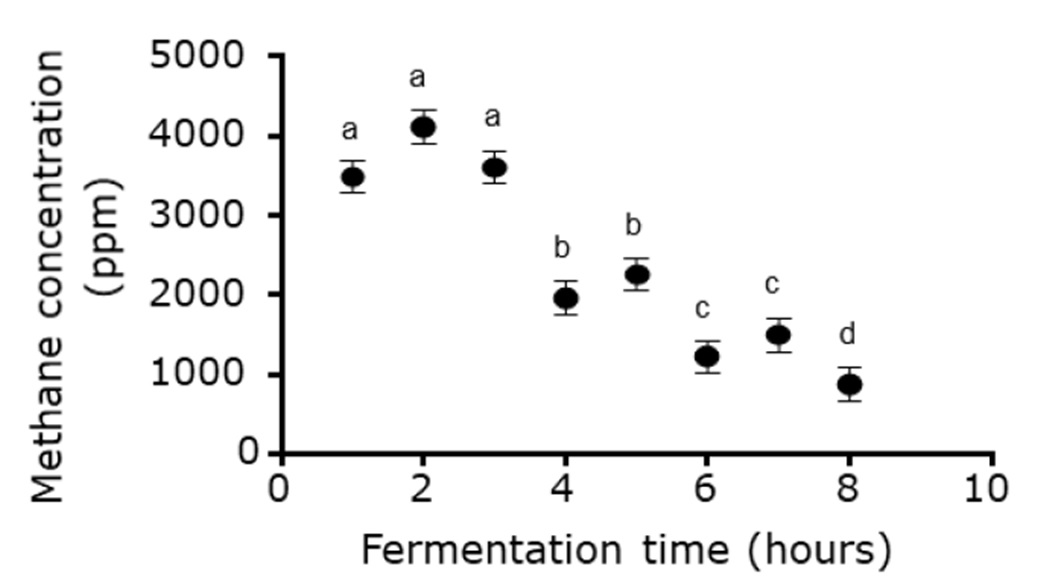 Figure 1. Reduction of methane concentration
during eight hours of fermentation whit Linamarin.