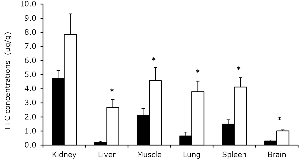 Mean ± SEM of tissue concentrations of florfenicol (FFC) at 4 hours after IM administration at a dose of 20 mg/kg in sheep (black bars) (n=5) and rabbits (open bars) (n=6). *: Significant at p<0.05, significant differences between both species.