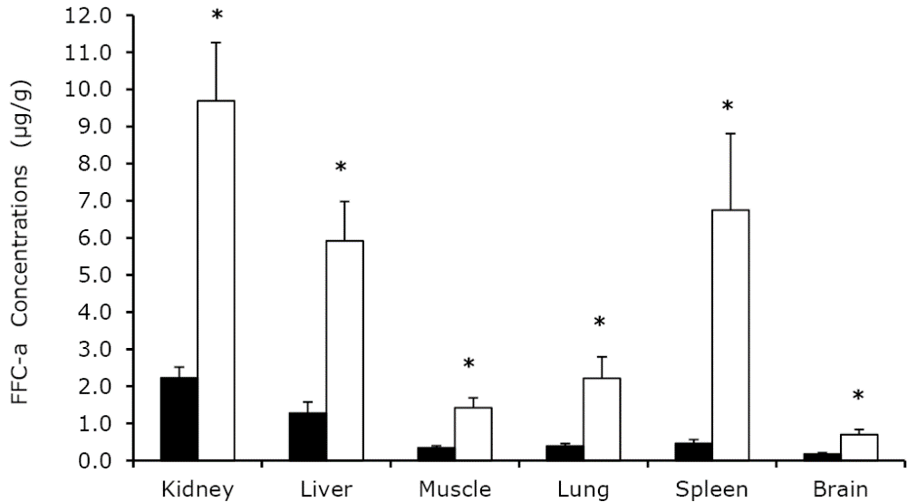 Mean ± SEM of tissue concentrations of florfenicol amine (FFC-a) at 4 hours in sheep (black bars) (n=5) and rabbits (open bars) (n=6), after IM administration of florfenicol (FFC) at a dose of 20 mg/kg. Each data point represents the mean ± SEM. *: Significant at p<0.05, significant differences between both species.